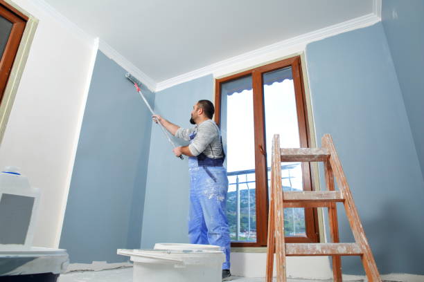 Professional Drywall & Painting Services in Zephyrhills, FL